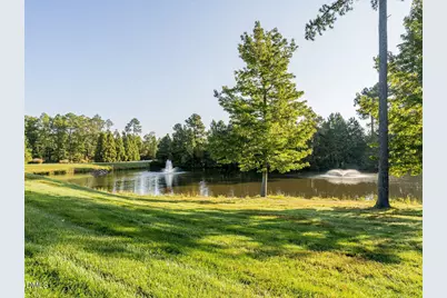 206 Great Ridge Court, Morrisville, NC 27560 - Photo 39