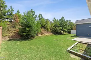 438 Lakemont Dr, Clayton, NC 27520 - Photo 43