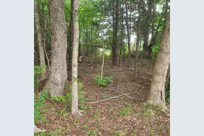 0 Highway 49, Mebane, NC 27302 - Photo 7