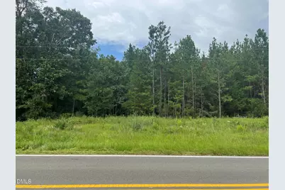 0 Highway 49, Mebane, NC 27302 - Photo 3