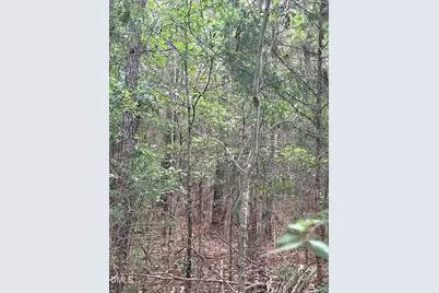 0 Highway 49, Mebane, NC 27302 - Photo 11