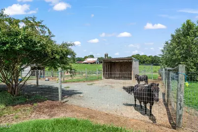 8378 Holman Mill Road, Snow Camp, NC 27349 - Photo 5