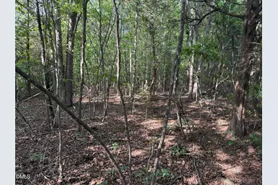 8585 Dirgie Mine Road, Roxboro, NC 27574 - Photo 11
