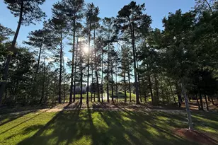 453 Sandy Whispers Pl, Cary, NC 27519 - Photo 49