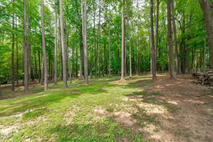 3125 Foggy Mountain Loop, Sanford, NC 27330 - Photo 25