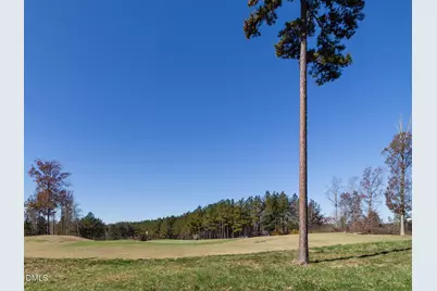 647 Chapel Ridge Drive, Pittsboro, NC 27312 - Photo 99