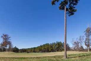647 Chapel Ridge Dr, Pittsboro, NC 27312 - Photo 99