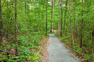 275 Mill Stone Road Ext, Moncure, NC 27559 - Photo 85