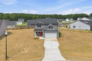 16 Loganberry Ave, Bunnlevel, NC 28323 - Photo 3