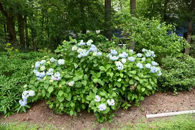 512 Marion Way, Chapel Hill, NC 27516 - Photo 37