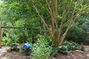 512 Marion Way, Chapel Hill, NC 27516 - Photo 33
