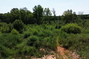 30 Tillery Dr, Louisburg, NC 27549 - Photo 1