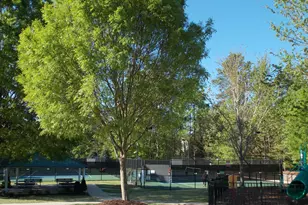 3113 Settle In Ln, Raleigh, NC 27614 - Photo 33