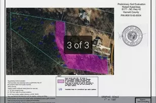 8177 NC 42, Holly Springs, NC 27540 - Photo 3
