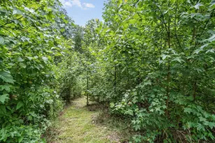 979 Natchez Trace Trace, Fuquay Varina, NC 27526 - Photo 15