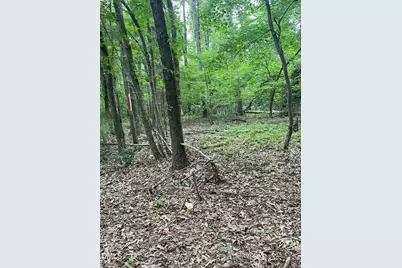 00 Pleasant Hill Church Road, Siler City, NC 27344 - Photo 5