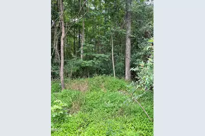 00 Pleasant Hill Church Road, Siler City, NC 27344 - Photo 3