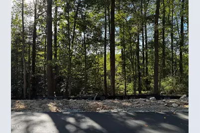 140 Noble Reserve Way, Pittsboro, NC 27312 - Photo 5