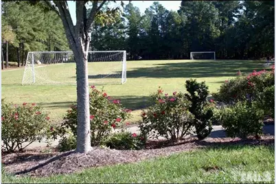 8016 Matinvesi Street, Raleigh, NC 27616 - Photo 43