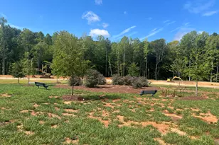 1337 Hammond Dr, Mebane, NC 27302 - Photo 29