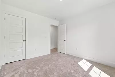 66 Loganberry Avenue, Bunnlevel, NC 28323 - Photo 39