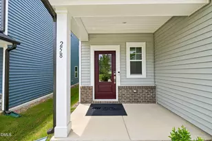 258 Blue Butterfly Dr, Angier, NC 27501 - Photo 43