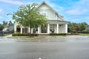229 Daisy Grove Ln, Holly Springs, NC 27540 - Photo 57