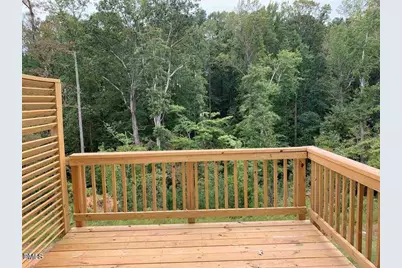229 Daisy Grove Lane, Holly Springs, NC 27540 - Photo 53