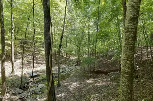 12 Indigo Creek Trail, Durham, NC 27712 - Photo 31