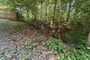 719 Madison Ave, Cary, NC 27513 - Photo 15