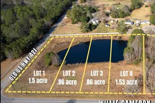190 Willie Cameron Rd, Lillington, NC 27546 - Photo 1