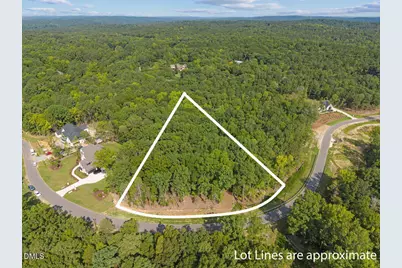 93 Firefly Overlook Road, Pittsboro, NC 27312 - Photo 1
