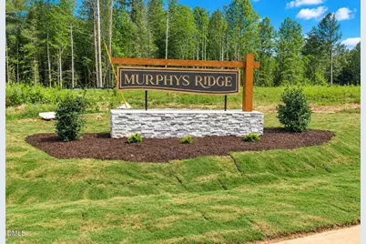 4454 Poppy Mallow Lane, Oxford, NC 27565 - Photo 1