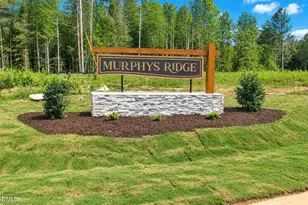 4454 Poppy Mallow Ln, Oxford, NC 27565 - Photo 1