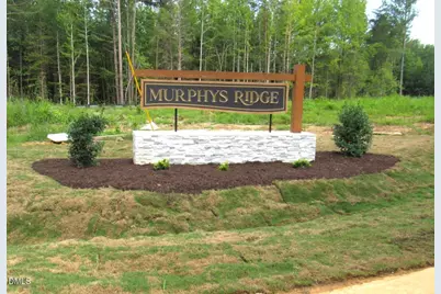 4454 Poppy Mallow Lane, Oxford, NC 27565 - Photo 1