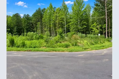 4454 Poppy Mallow Lane, Oxford, NC 27565 - Photo 5