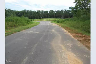 4452 Poppy  Mallow Lane, Oxford, NC 27565 - Photo 3