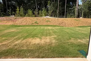 677 Fosterton Cottage Wy, Raleigh, NC 27603 - Photo 23