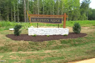 4461 Poppy Mallow Ln, Oxford, NC 27565 - Photo 1