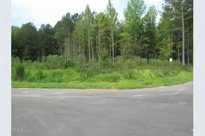 4466 Poppy  Mallow Lane, Oxford, NC 27565 - Photo 5