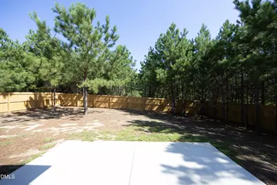 395 Union Church Road, Carthage, NC 28327 - Photo 31