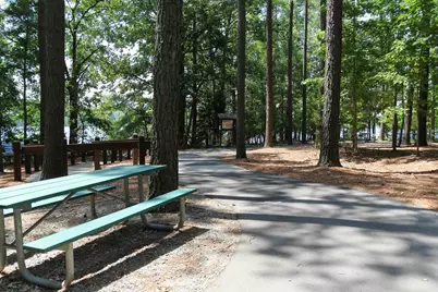 205 Mount Olive Trail, Apex, NC 27539 - Photo 45