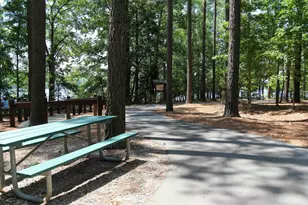 205 Mount Olive Trl, Apex, NC 27539 - Photo 45