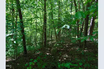 0 Highway 86, Yanceyville, NC 27379 - Photo 15