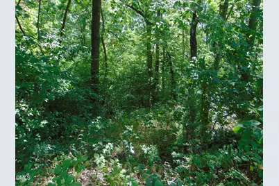 0 Highway 86, Yanceyville, NC 27379 - Photo 13