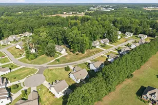 110 White Ash Ln, Youngsville, NC 27596 - Photo 47