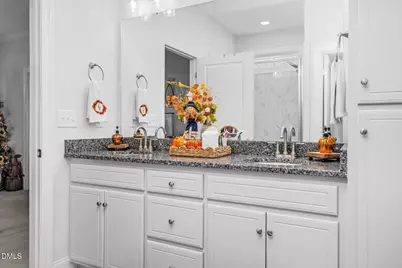 206 Brunswick Drive, Nashville, NC 27856 - Photo 29