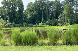 11500 Old Stage Rd, Willow Springs, NC 27592 - Photo 61