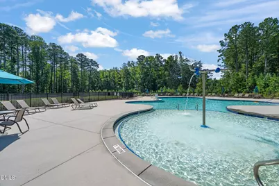 163 Annabelle Branch Lane, Apex, NC 27523 - Photo 61