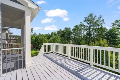 163 Annabelle Branch Lane, Apex, NC 27523 - Photo 45